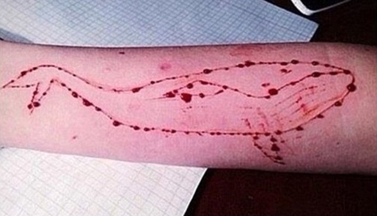 blue whale