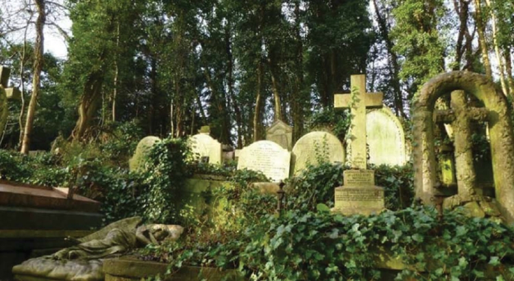 cimitero candelara incontro