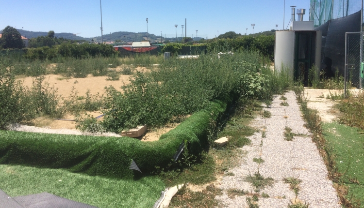 circolo tennis fano
