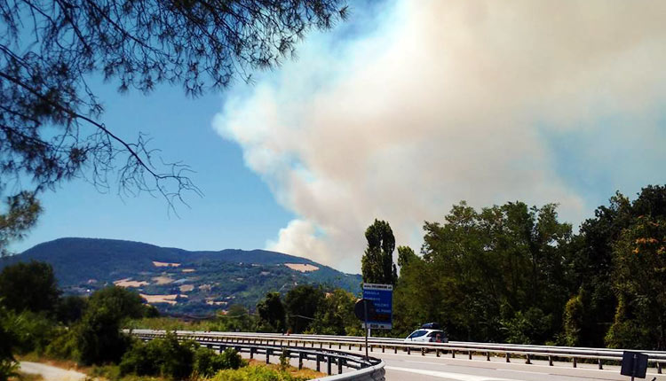 vasto incendio sulle cesane