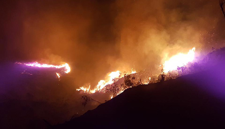 incendio monte san bartolo pesaro