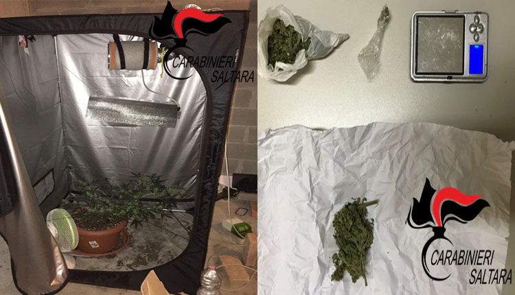 carabinieri saltara serra marijuana giovane lucrezia