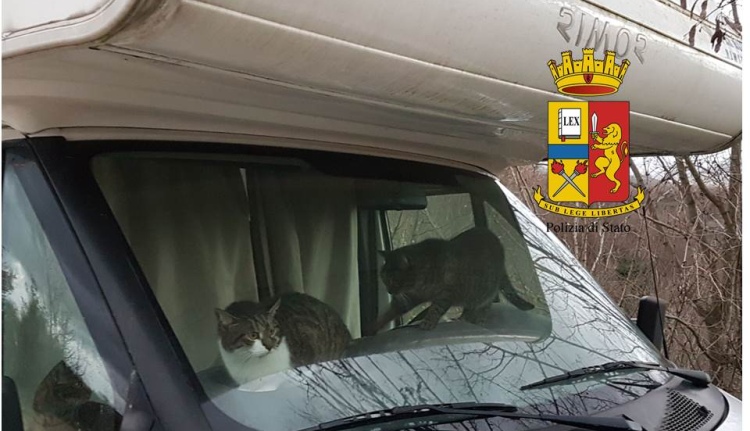 animali prigionieri polizia urbino