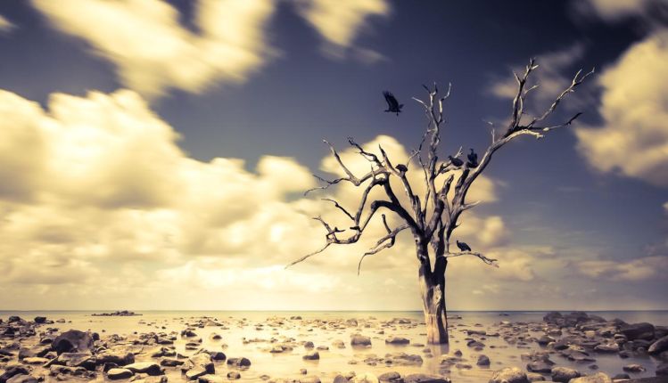 convegno clima pesaro