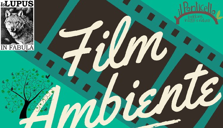 film ambiente 2018