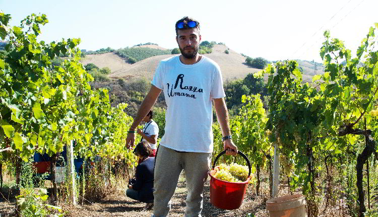servizio civile ama terra
