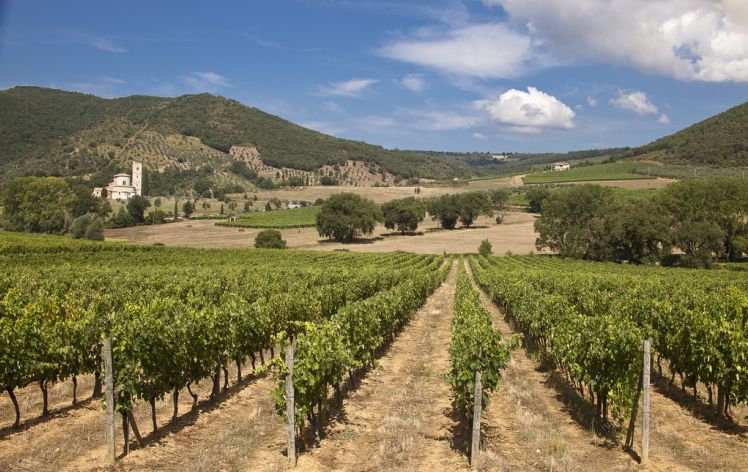 agricoltura sviluppo rurale bandi