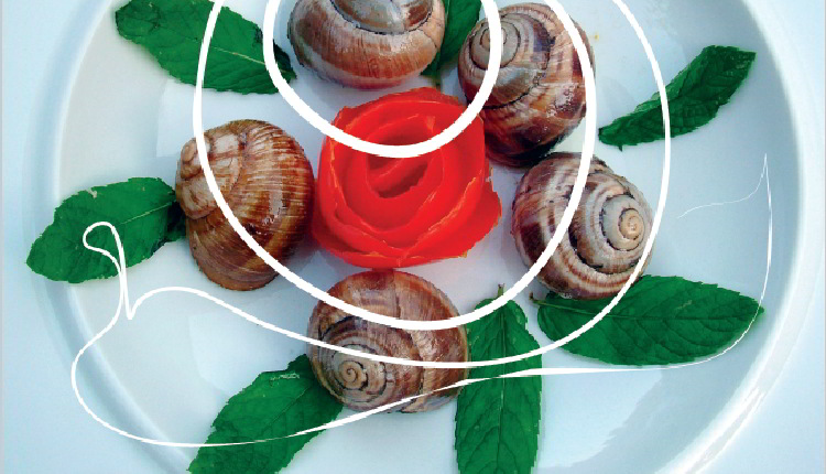 cuoco lumaca cena concorso