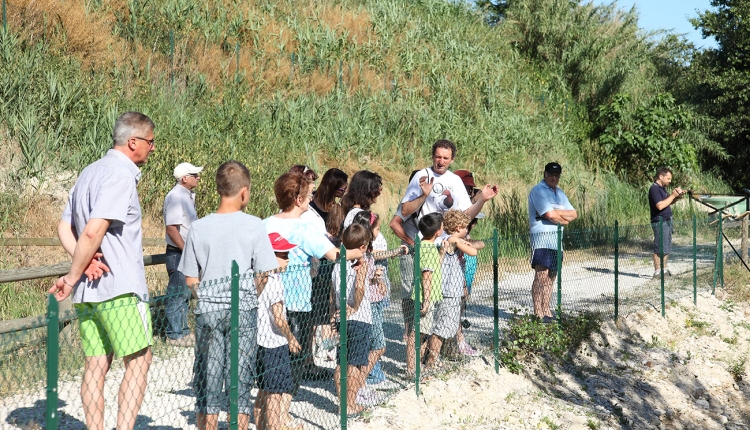 visite guidate lago vicini