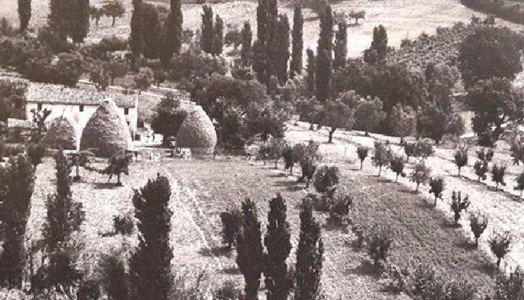 convegno agricoltura cartoceto