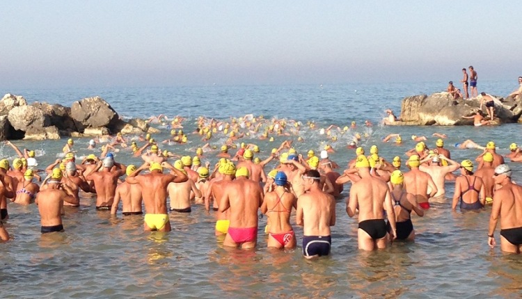 nutata longa 2017
