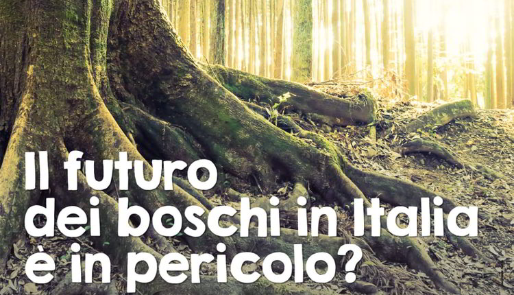 futuro_dei_boschi_convegno