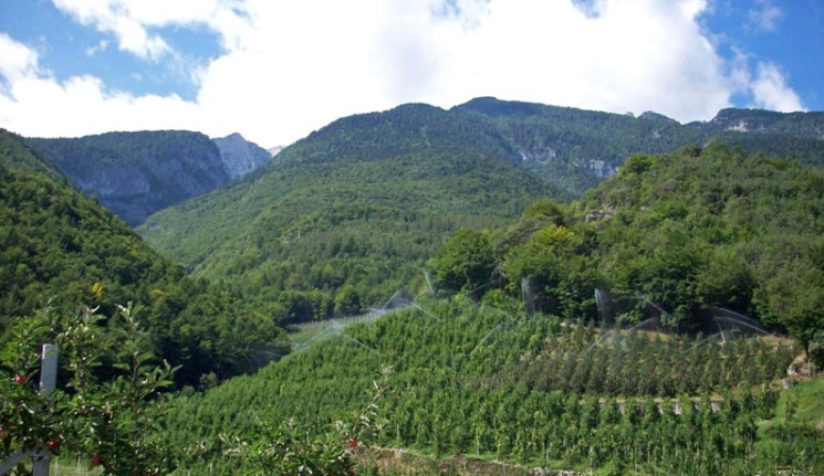 agricoltura zone montane Agea