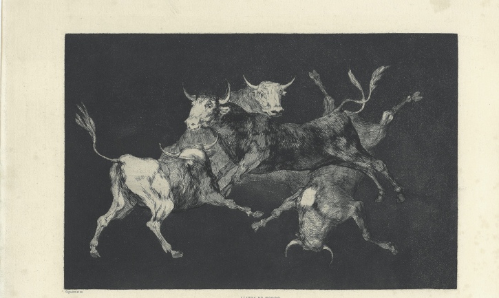 mostra-proverbi Goya casa raffaello