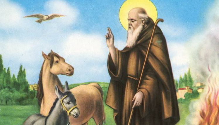 benedizione_animali_sant_antonio