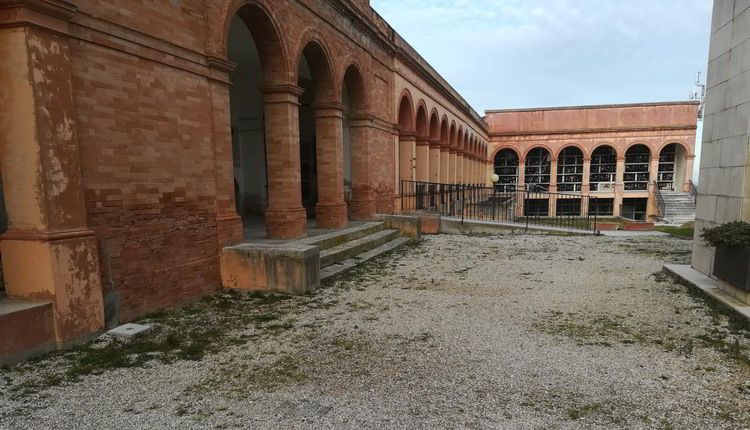 cimitero_cartoceto_incuria_3