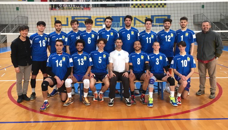cus_urbino