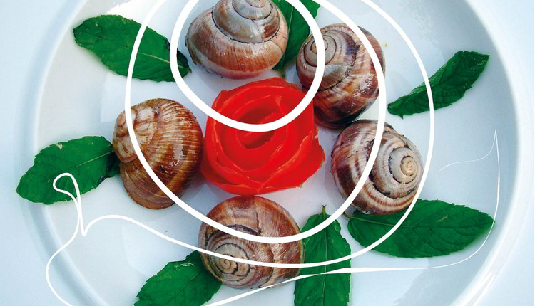 concorso_lumaca_miglior_cuoco