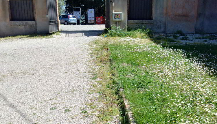 pieve_4
