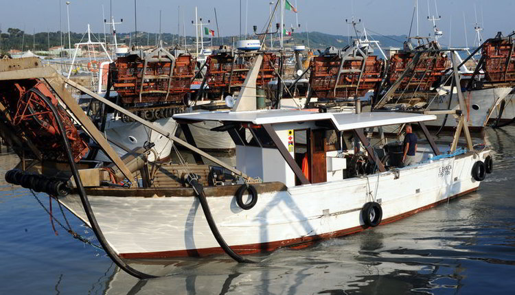 porti marchigiani porto di fano