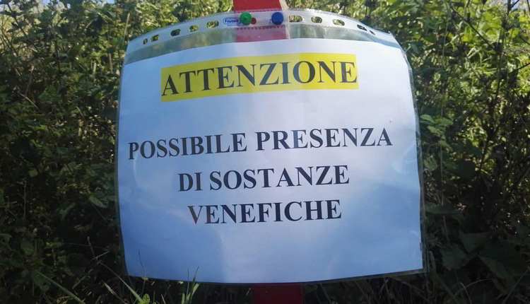 sostanze veleonose montemaggiore caccia